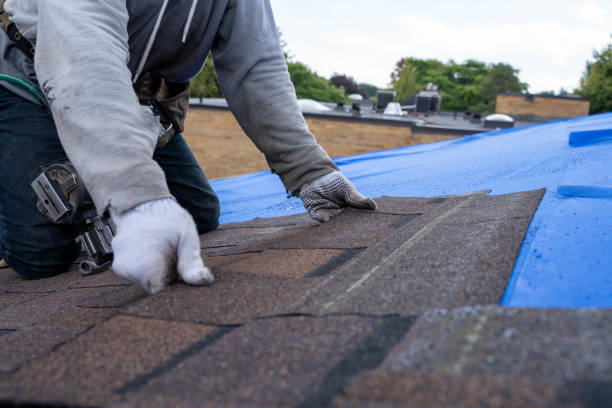 Best Flat Roof Repair Services  in Frankl, IN