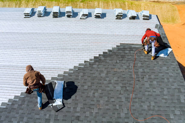 Best Storm Damage Roof Repair  in Frankl, IN