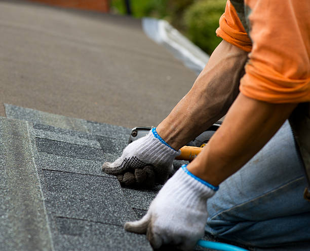 Best Roof Gutter Cleaning  in Frankl, IN
