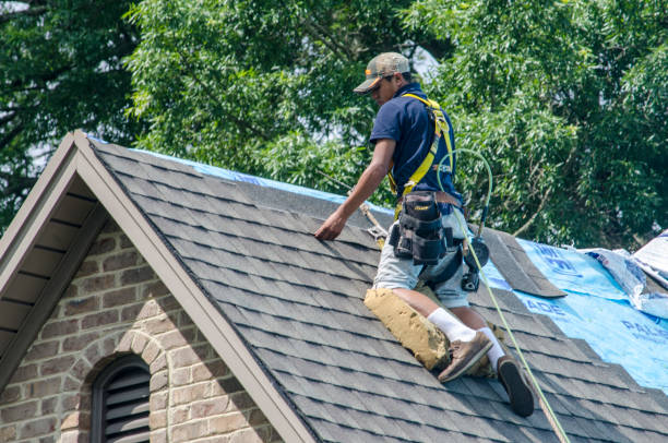 Best Roof Repair Services  in Frankl, IN
