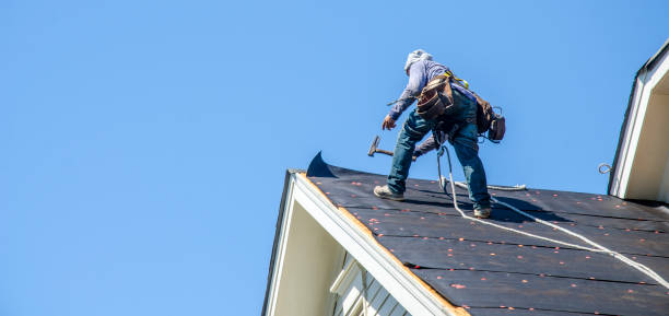 Best Residential Roof Replacement  in Frankl, IN